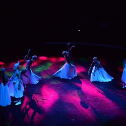 DSC_7985 (6816).JPG